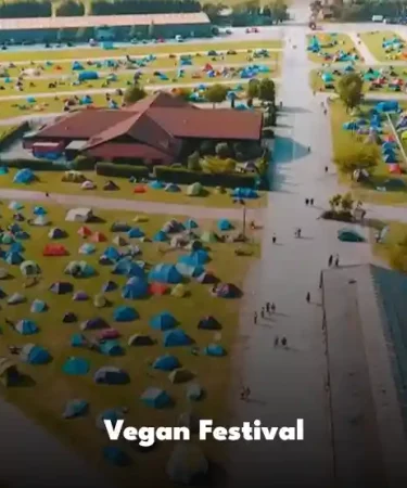 Vegan Festival in uk